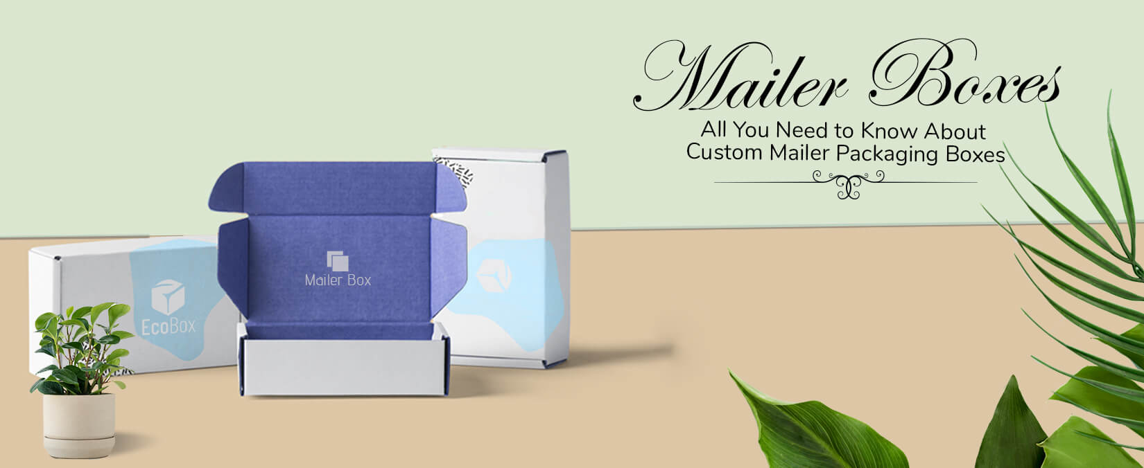 How to have Mailer Boxes with attractive designs and colours