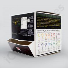 Dispenser Boxes