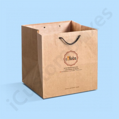 Custom Brown Kraft Paper Bags Wholesale