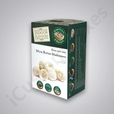 Custom Mushroom Boxes