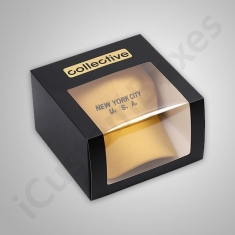 Apparel Packaging with window