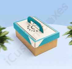 Product Box Packaging  Handle