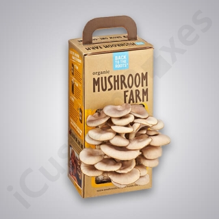 Custom Mushroom Boxes packaging in USA wholesale