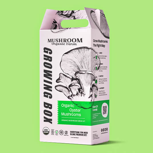 Mushroom Grow Kit Boxes