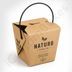 Chinese Takeout Boxes with Handle