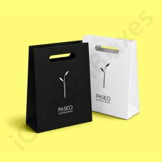 luxury retail bags