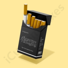 empty paper flip top cigarette boxes