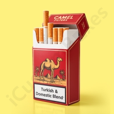 camel cigarette box